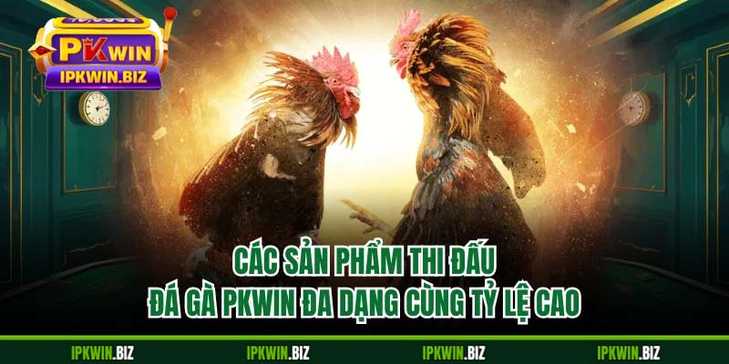 Các sản phẩm thi đấu đá gà PKWIN đa dạng cùng tỷ lệ cao