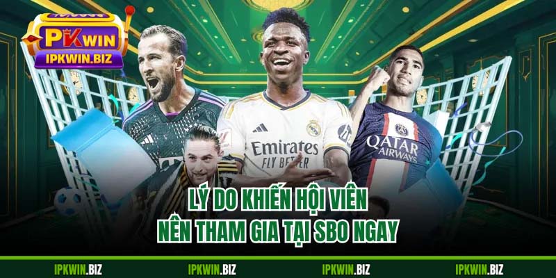 Lý do khiến hội viên nên tham gia tại SBO ngay