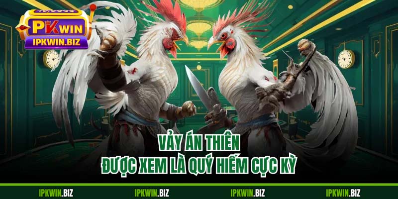 Vảy án thiên được xem là quý hiếm cực kỳ